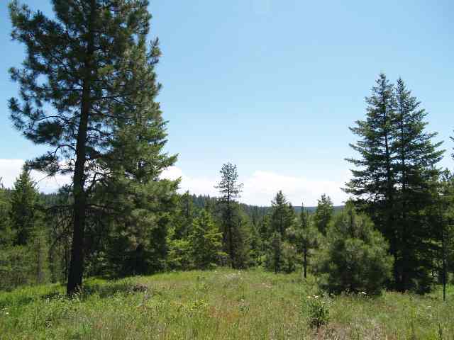 0 Rose Hill Road Springdale, WA 99173 - Photo 1 of 7