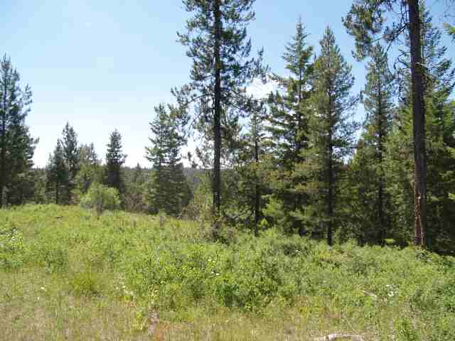 0 Rose Hill Road Springdale, WA 99173 - Photo 4 of 7