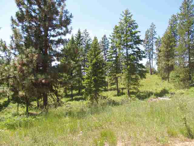 0 Rose Hill Road Springdale, WA 99173 - Photo 7 of 7