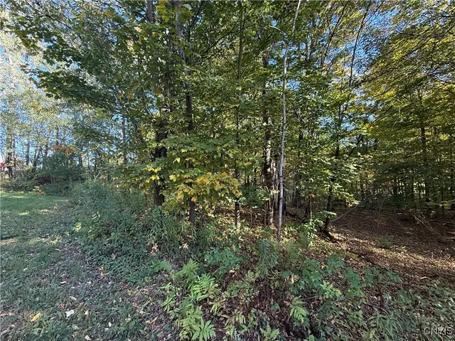 $89,900 | Steelhead Lane, Williamstown, NY 13493