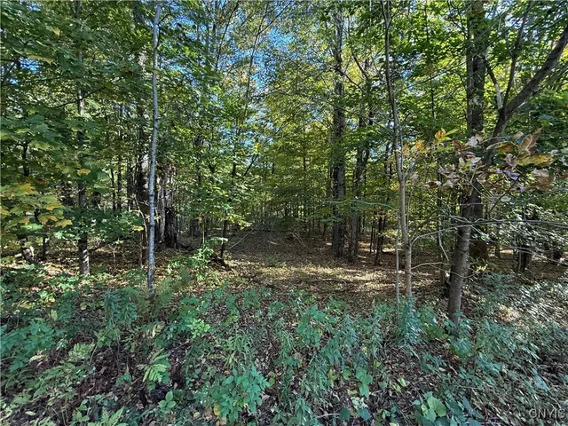 $89,900 | Steelhead Lane, Williamstown, NY 13493