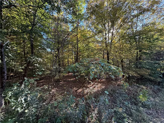 $89,900 | Steelhead Lane, Williamstown, NY 13493