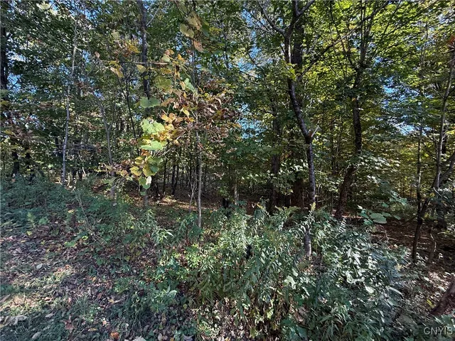 $89,900 | Steelhead Lane, Williamstown, NY 13493