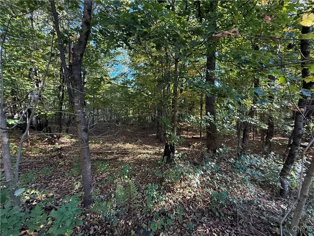 $89,900 | Steelhead Lane, Williamstown, NY 13493