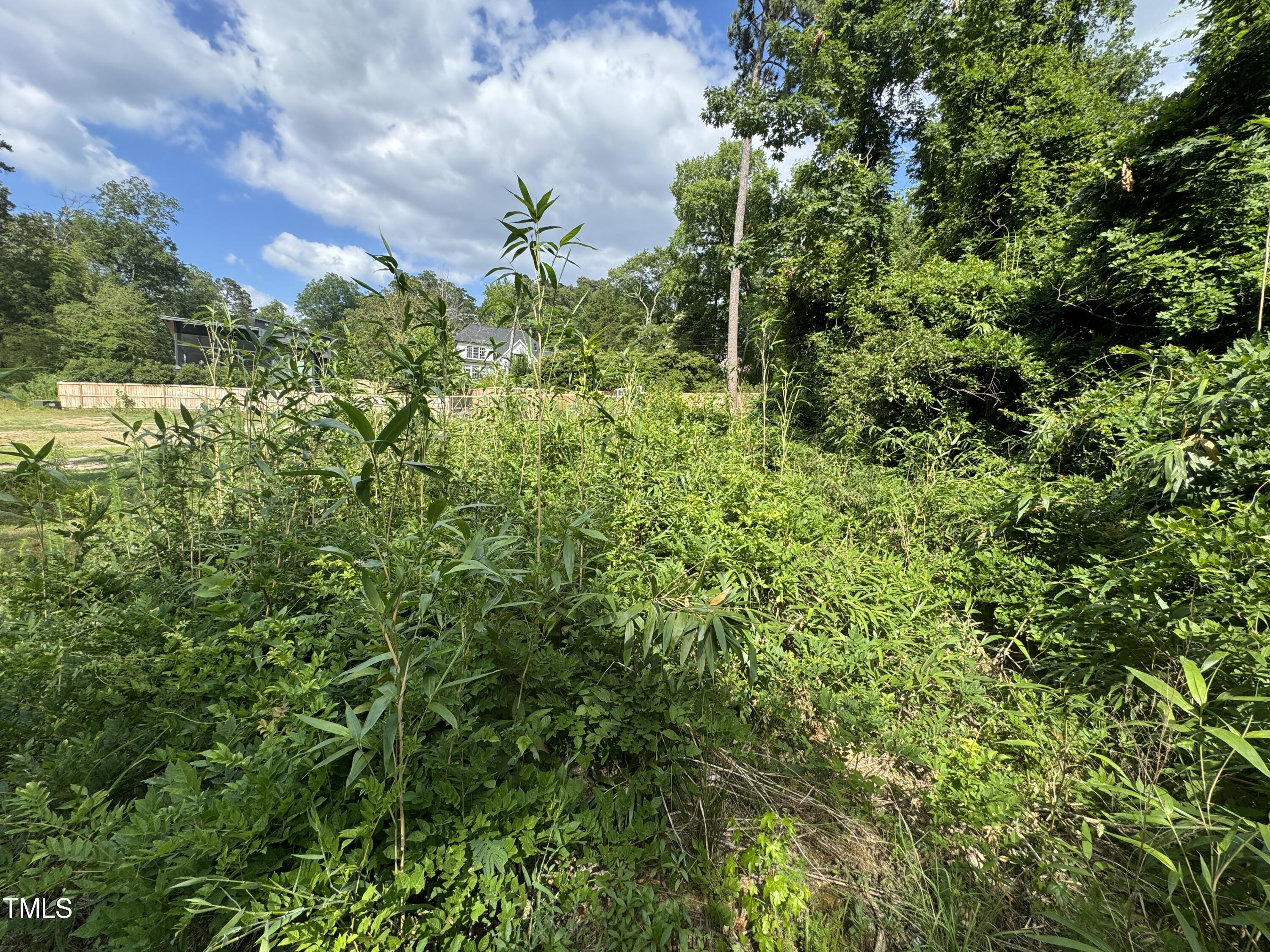 2613 Academy Road Durham, NC 27705 - Photo 6 of 8 IMG_2160