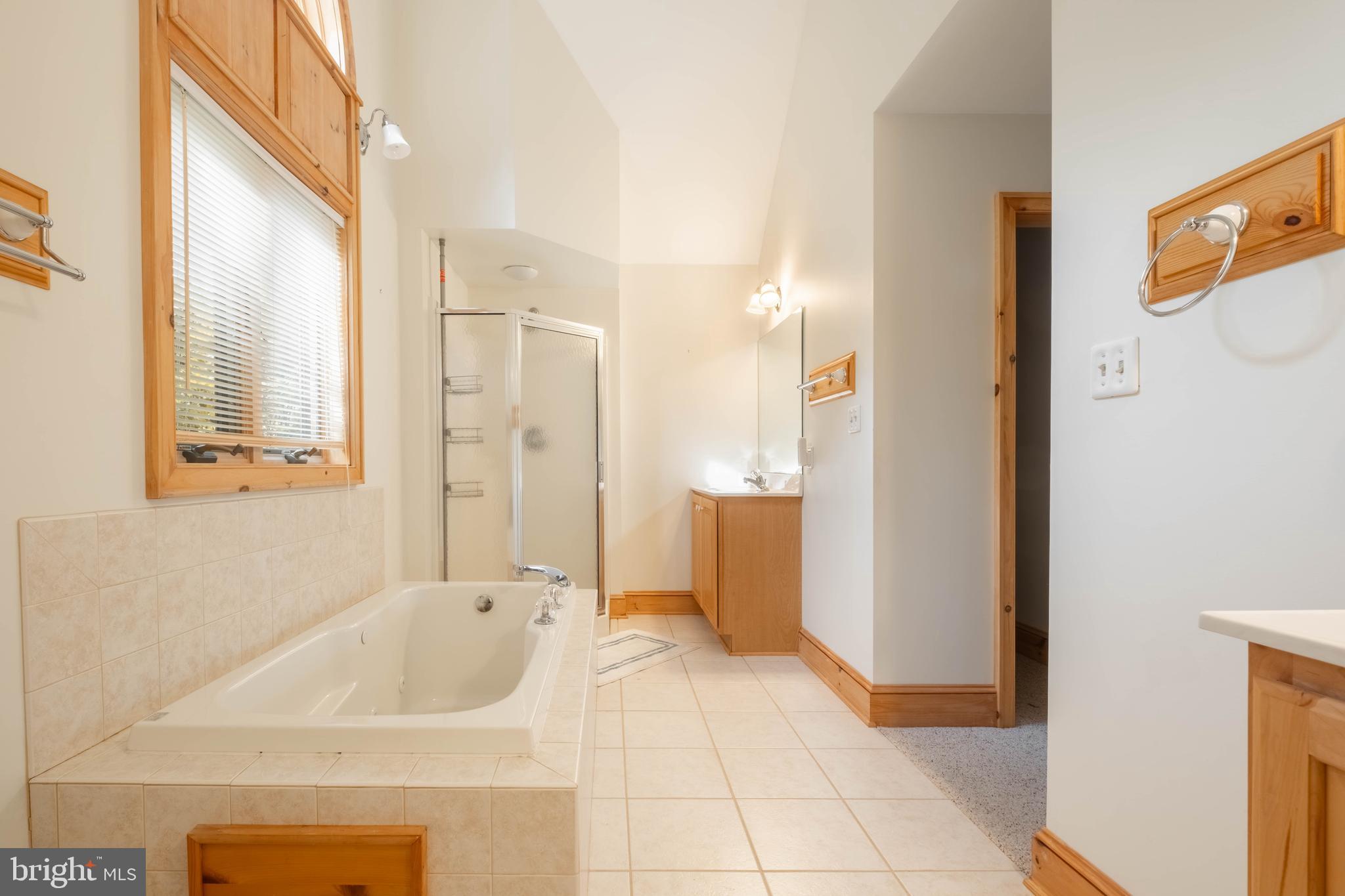 128 Bridgeview Lane Swanton, MD 21561 - Photo 19 of 70 a bathroom with a tub a sink and a mirror