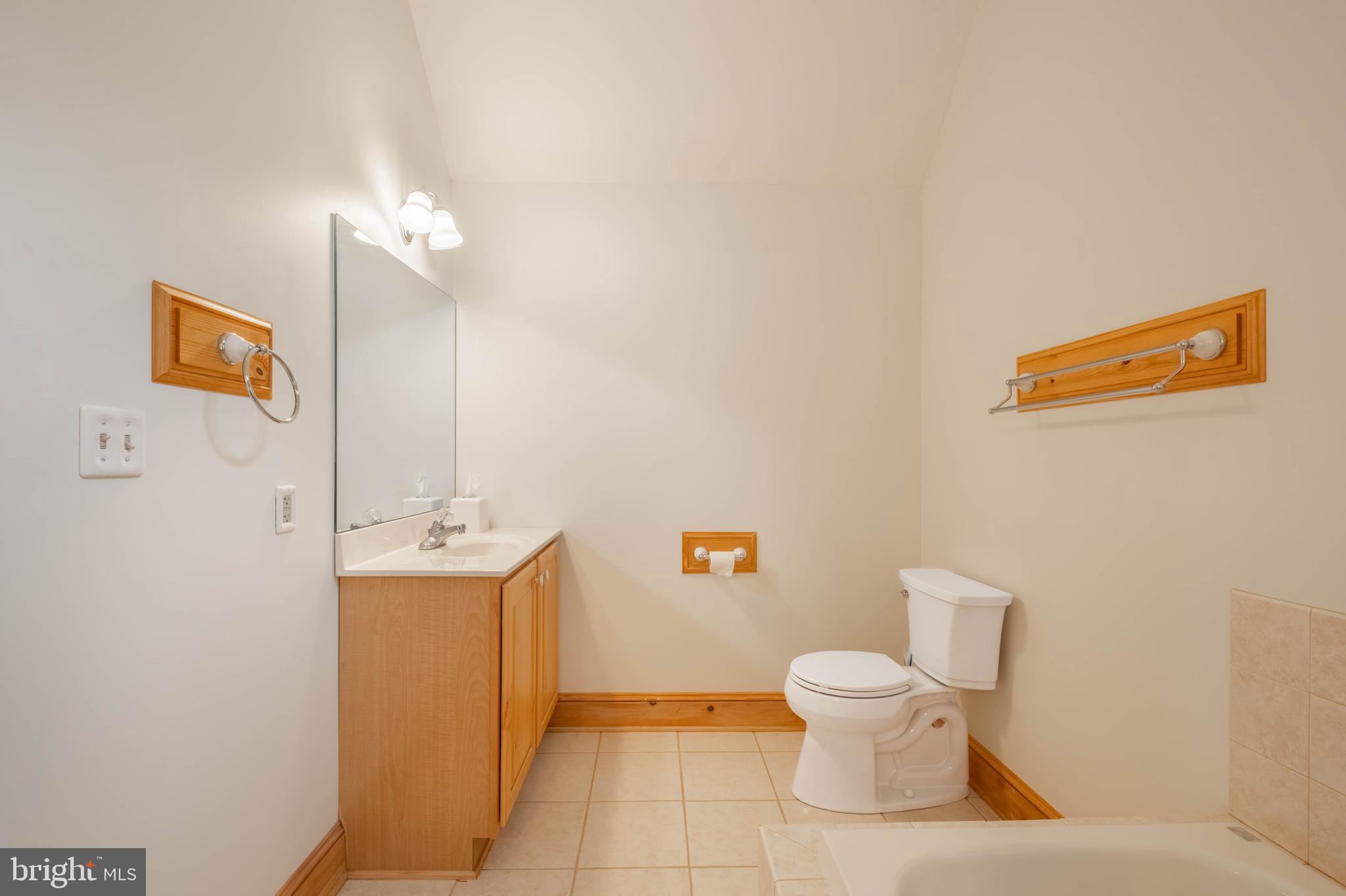 128 Bridgeview Lane Swanton, MD 21561 - Photo 21 of 70 a bathroom with a toilet a sink and mirror
