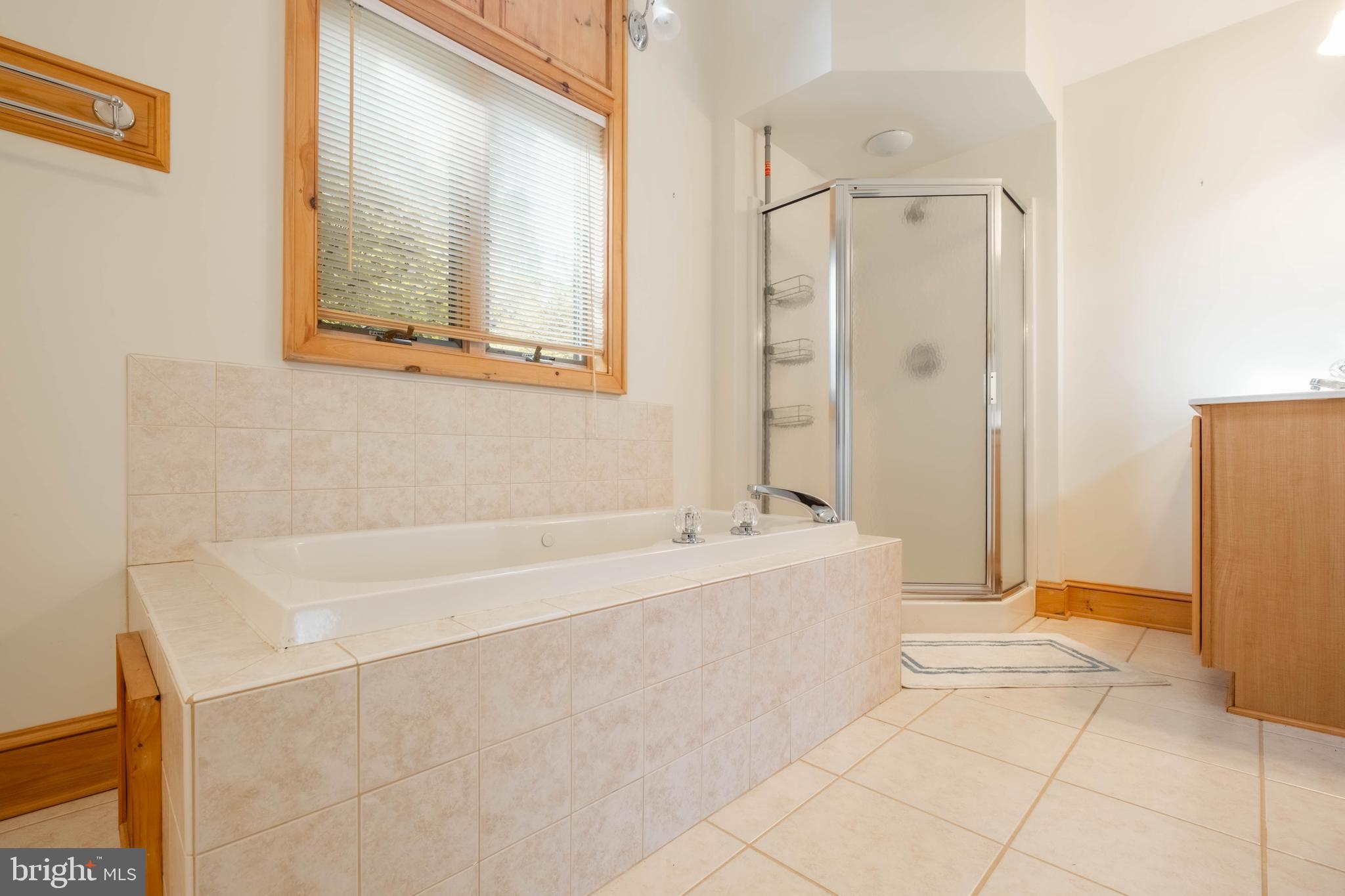 128 Bridgeview Lane Swanton, MD 21561 - Photo 22 of 70 a bathroom with a bathtub and a shower