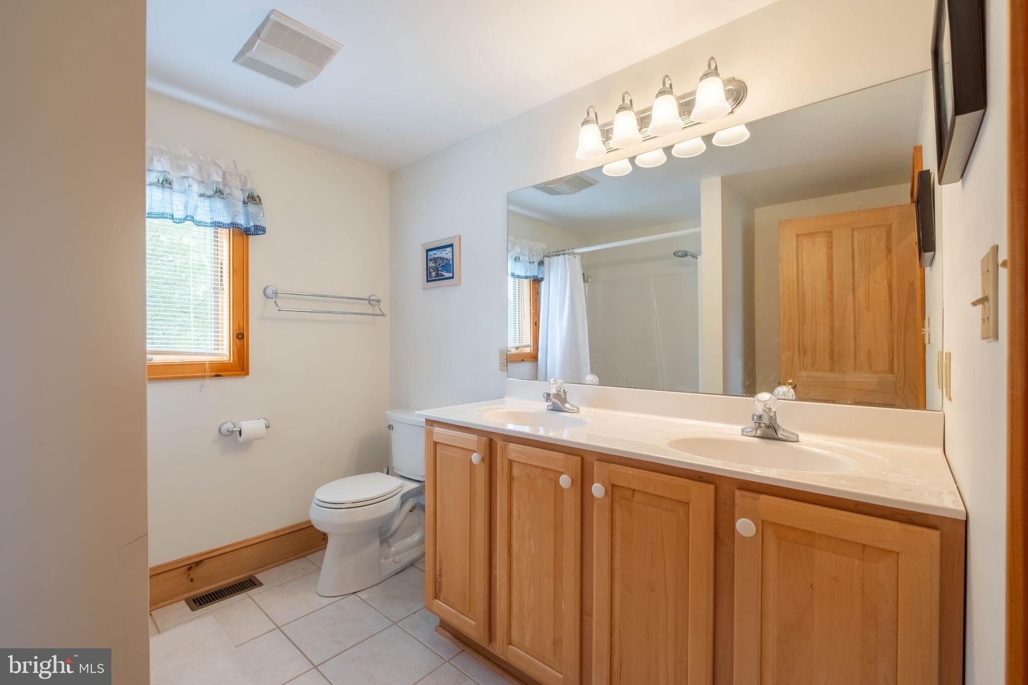 128 Bridgeview Lane Swanton, MD 21561 - Photo 26 of 70 a bathroom with a granite countertop sink a toilet and a mirror