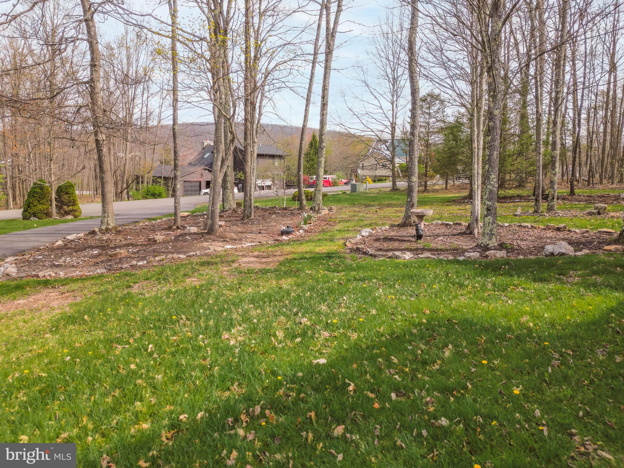 128 Bridgeview Lane Swanton, MD 21561 - Photo 55 of 70 a view of yard with tree