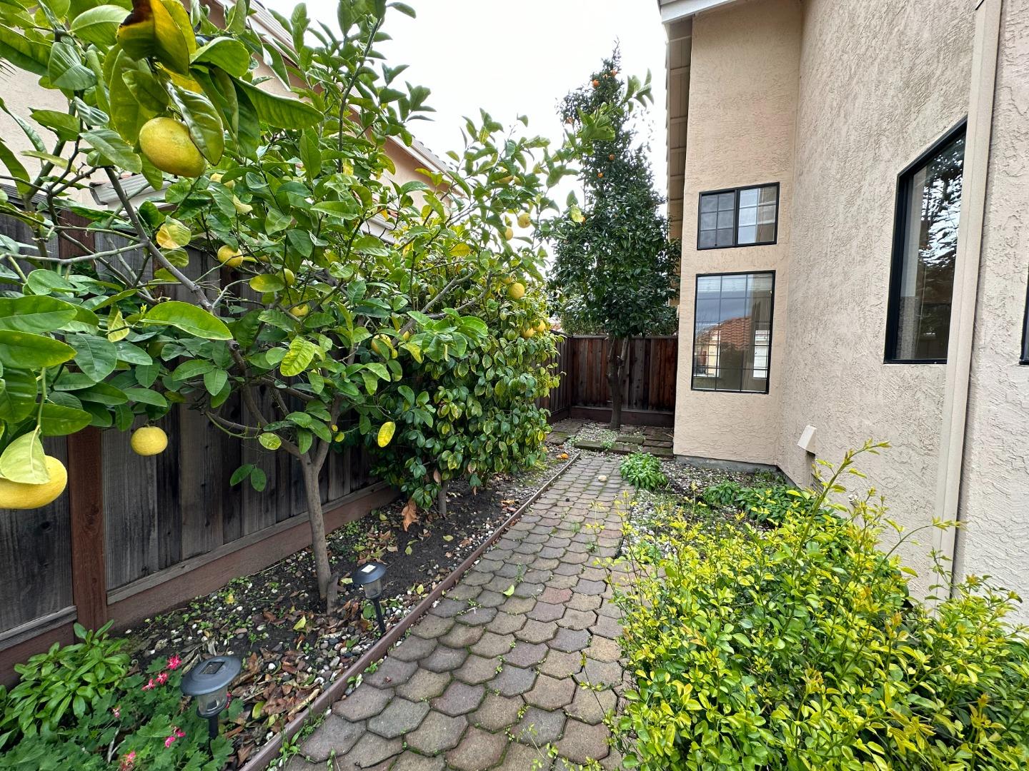 645 Kirby Common Fremont, CA 94539 - Photo 31 of 39 a bunch of flowers in front of flowers