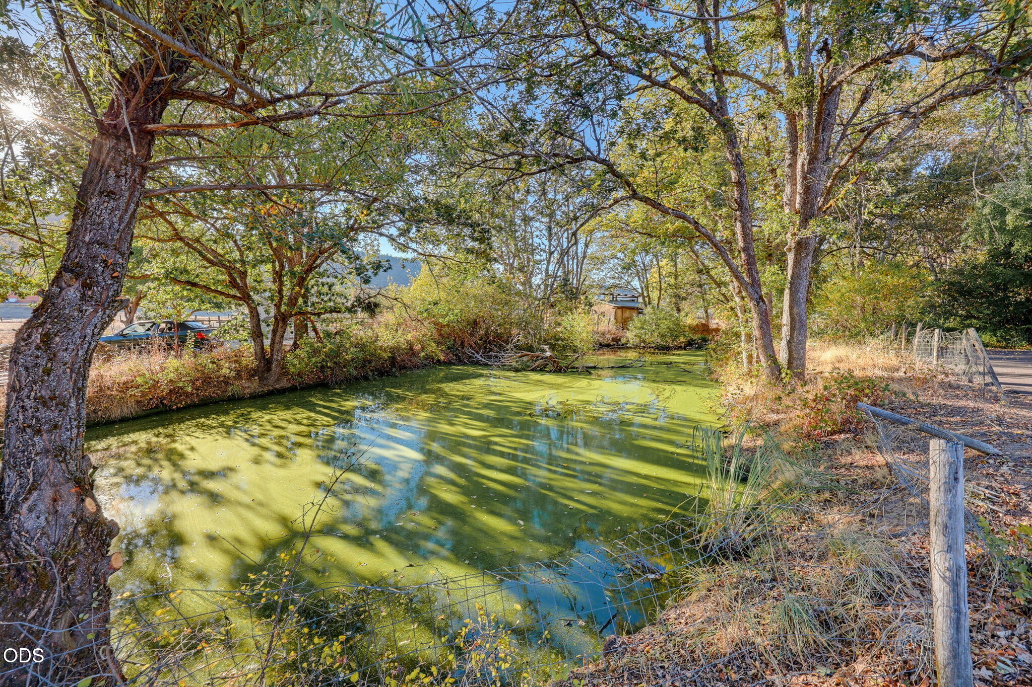 10178 Wheeler Road White City, OR 97503 - Photo 52 of 59 Gallery Image 52