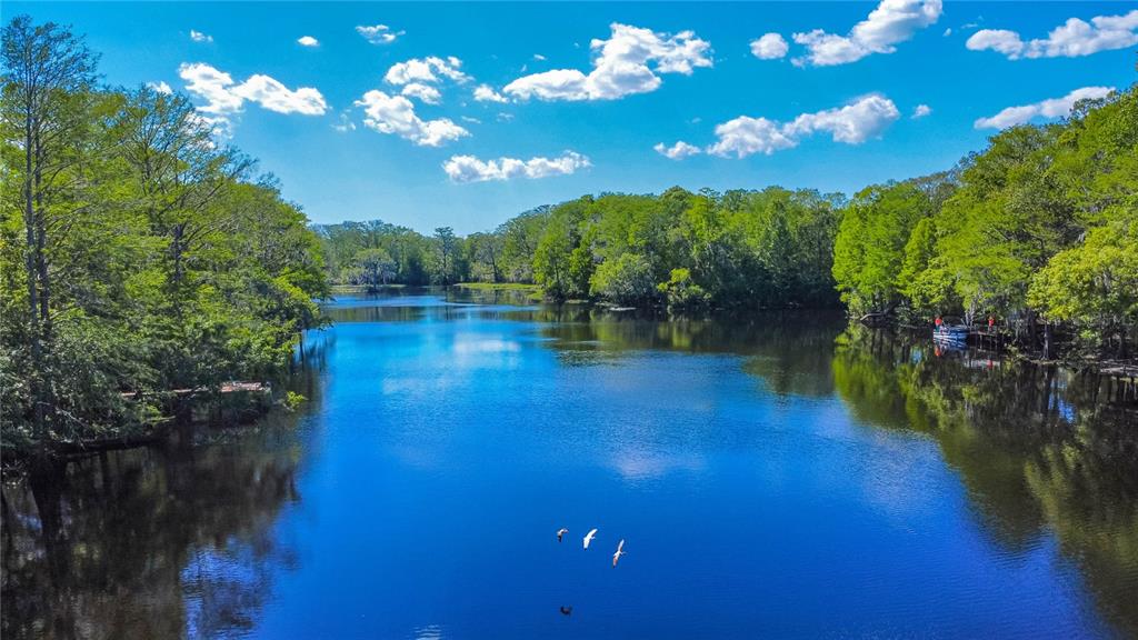 28330 Peterson Camp Road Brooksville, FL 34601 - Photo 56 of 60