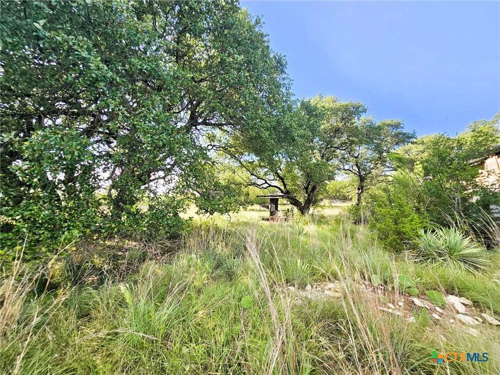 100 Reavis Drive Kempner, TX 76539 - Photo 25 of 33