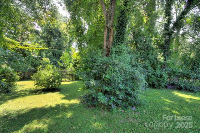 $3,000 | 629 Grandin Road, Charlotte, NC 28208