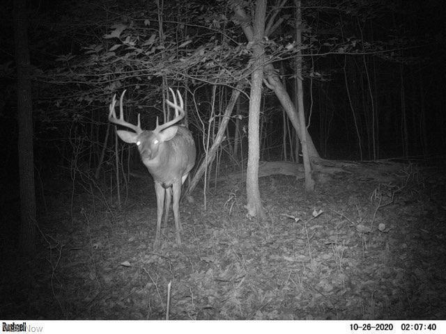 8610 West Triadelphia Road Malta, OH 43758 - Photo 42 of 42 GetMedia.ashx