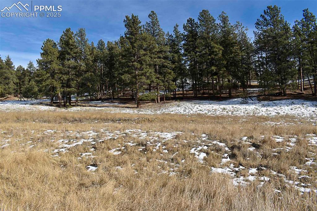 6th Street Guffey, CO 80820 - Photo 8 of 28