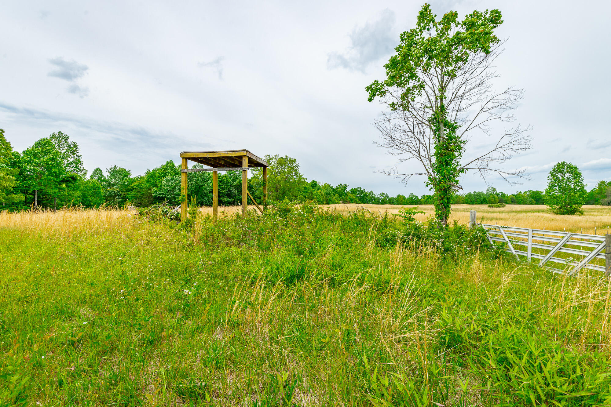 0 Ray Gadd Road Graysville, TN 37338 - Photo 78 of 109 Ray Gadd Road Lot HD-23