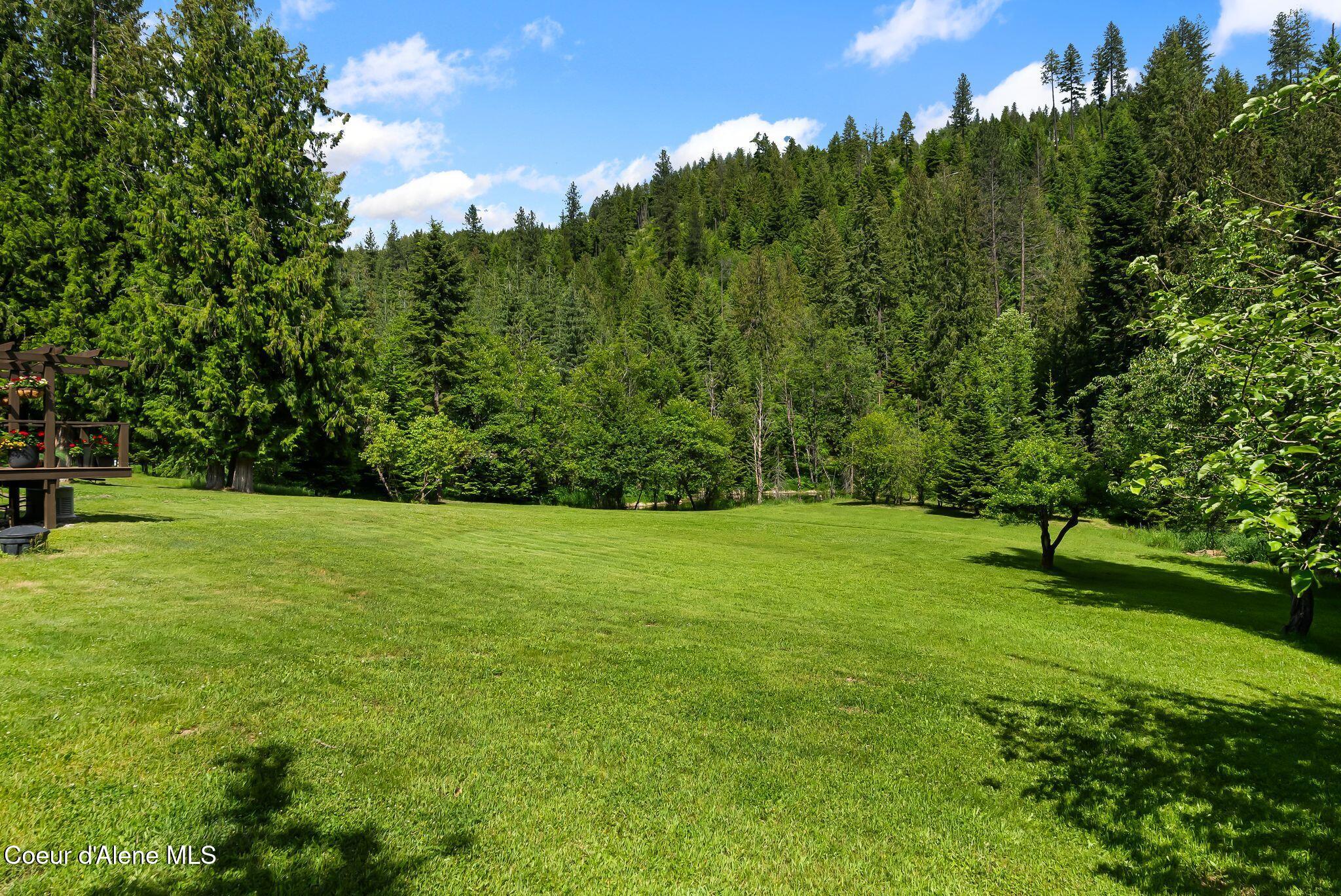74 Eureka Road Sagle, ID 83860 - Photo 92 of 102 Pasture