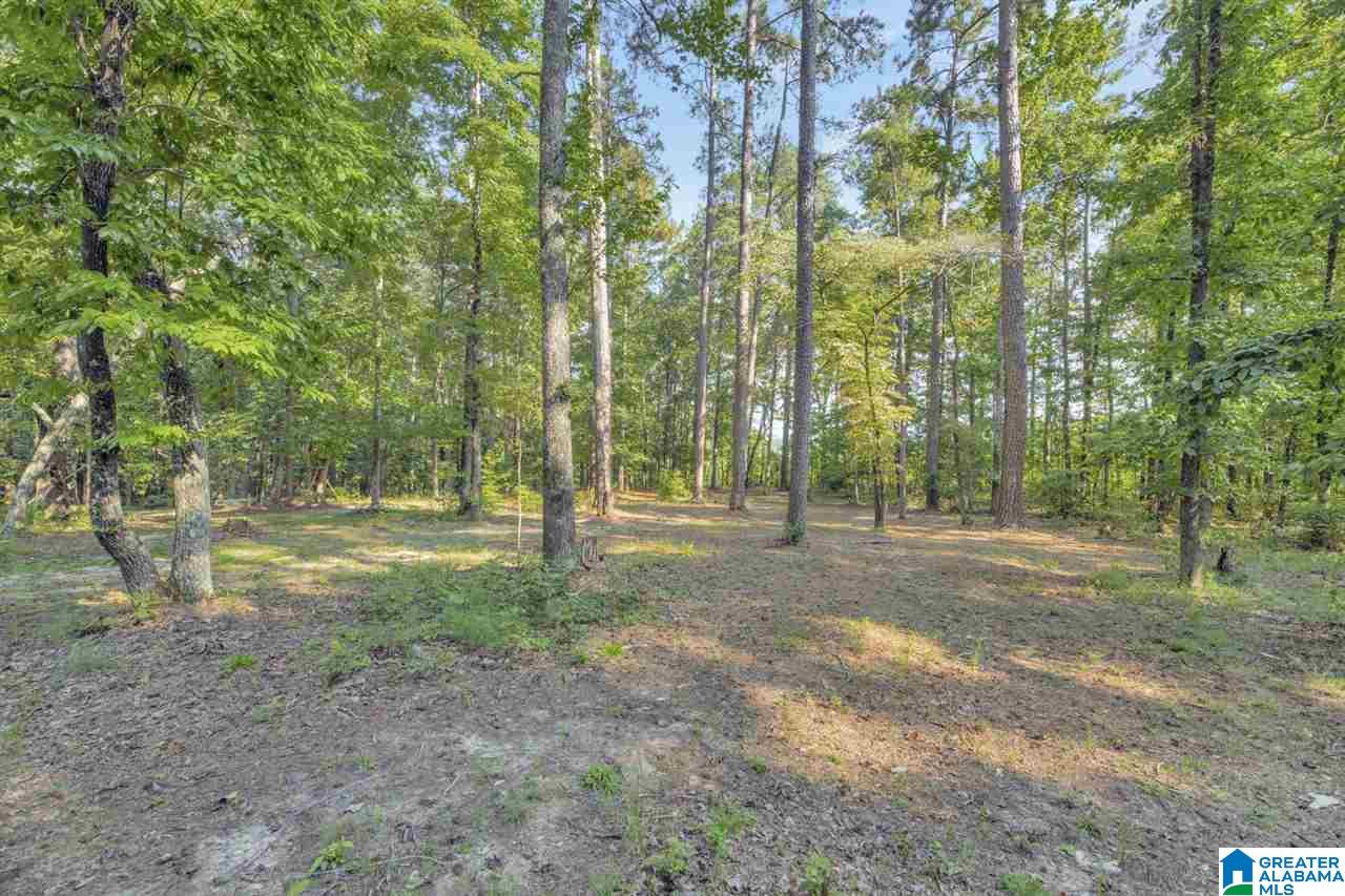 5353 South Shades Crest Road Bessemer, AL 35022 - Photo 31 of 31