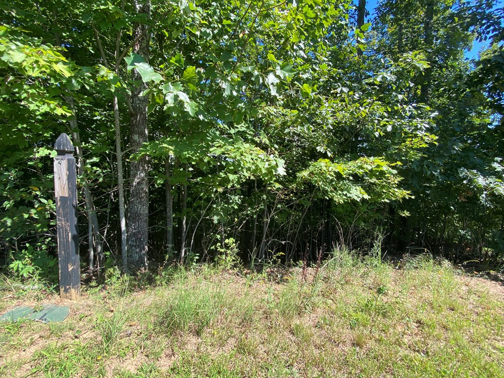 115 Vance Mountain Road Murphy, NC 28906 - Photo 8 of 13