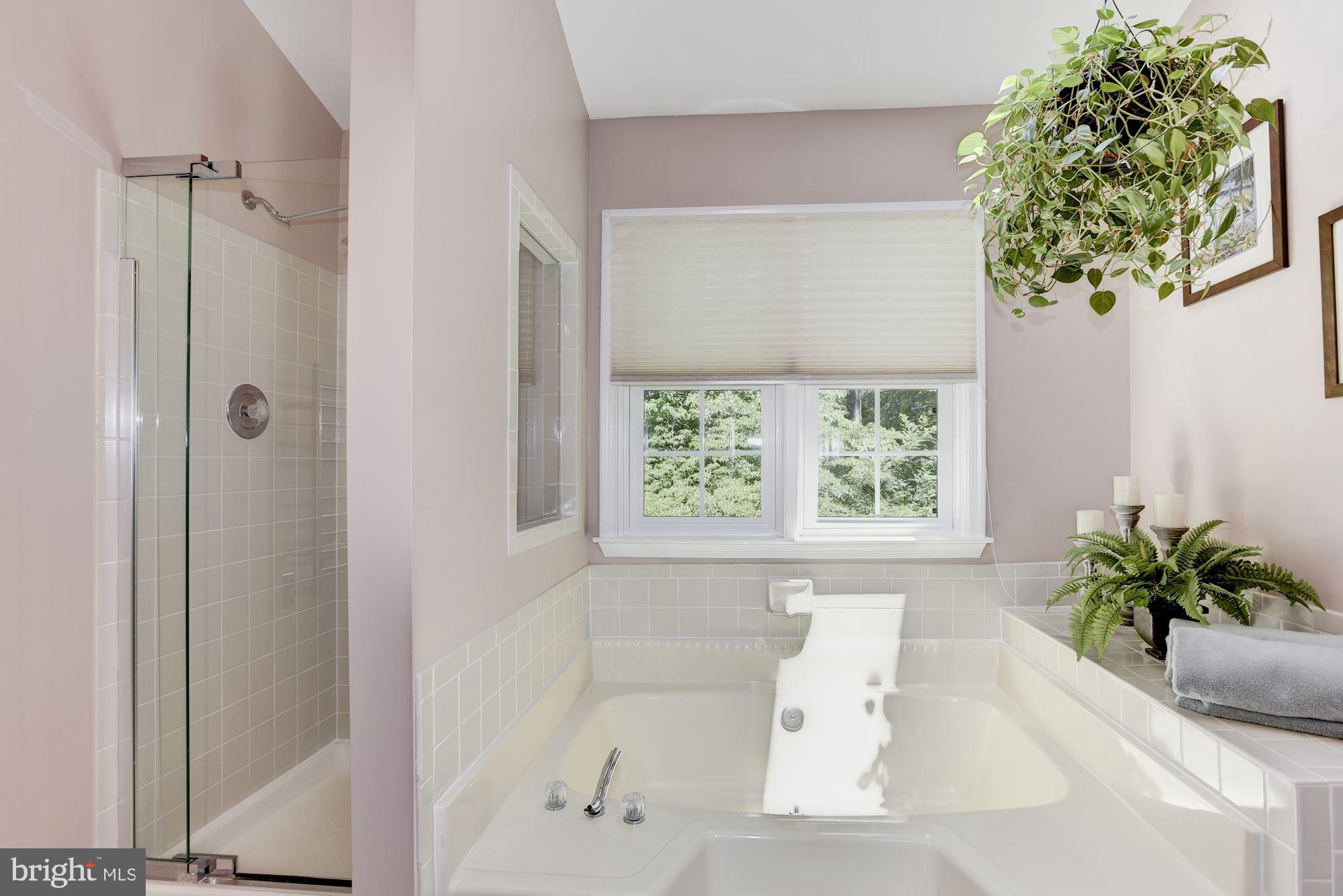 12586 Rock Ridge Road Herndon, VA 20170 - Photo 35 of 67 Gallery Image 35