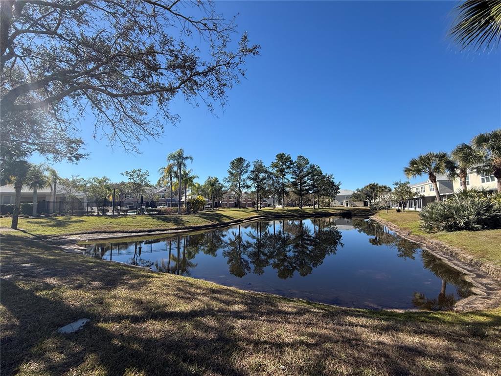 26627 Castleview Way Wesley Chapel, FL 33544 - Photo 23 of 29