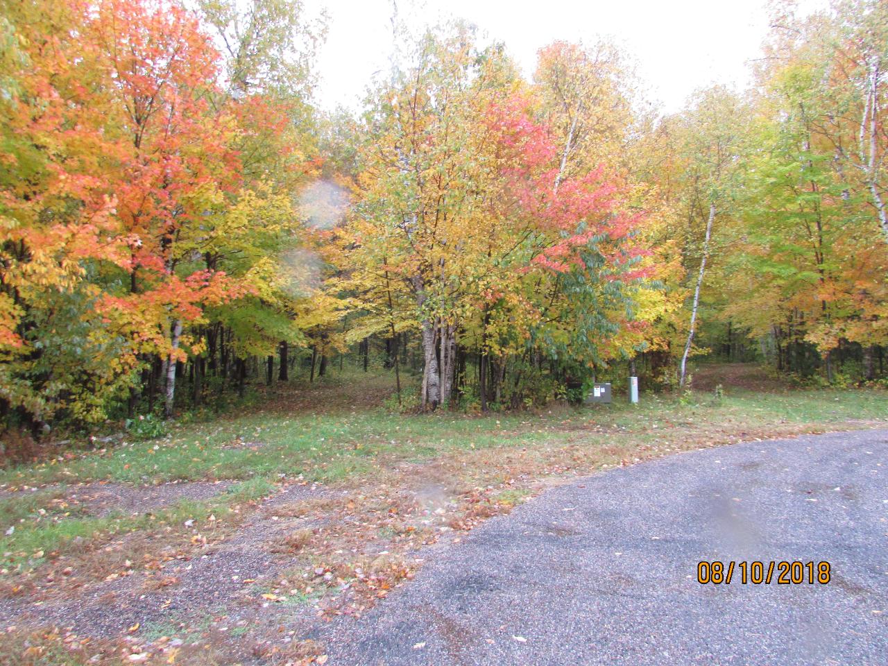 On White Birch Road Woodruff, WI 54568 - Photo 4 of 18 Gallery Image 4
