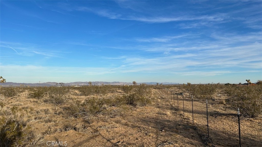 59775 Bearing Tree Road Landers, CA 92285 - Photo 4 of 16