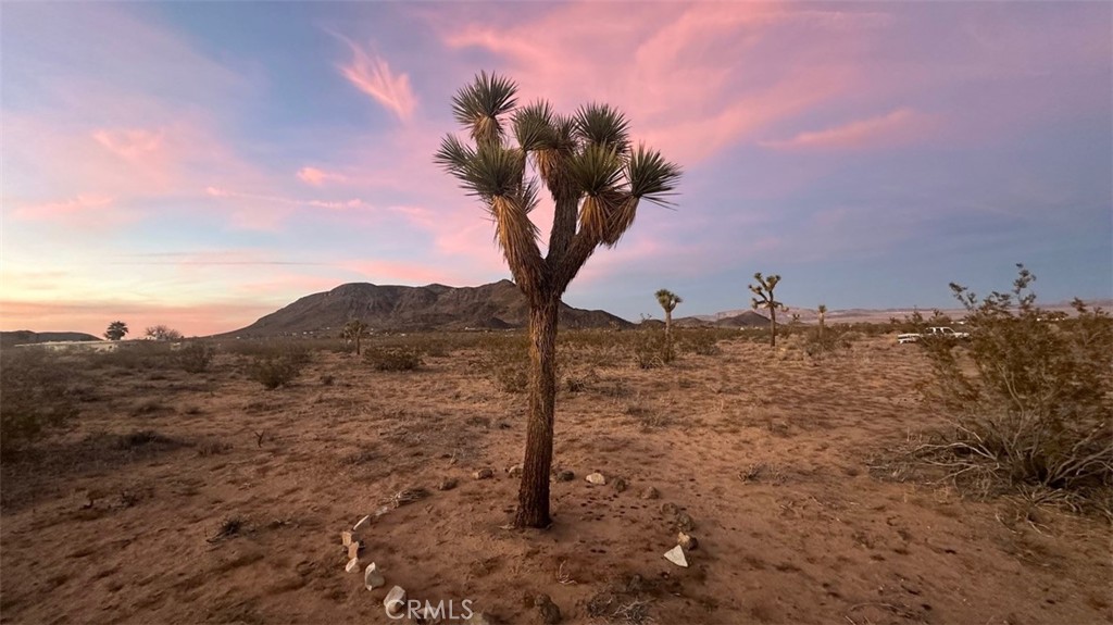 59775 Bearing Tree Road Landers, CA 92285 - Photo 6 of 16