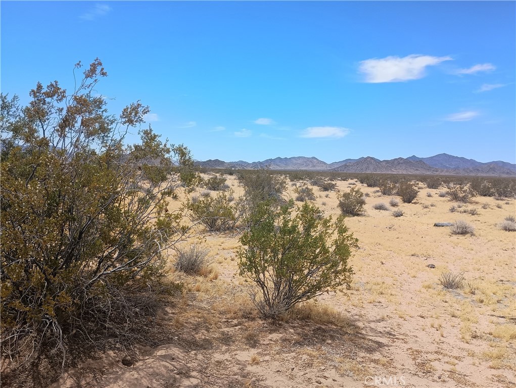 5 North Side Road Lucerne Valley, CA 92356 - Photo 2 of 7