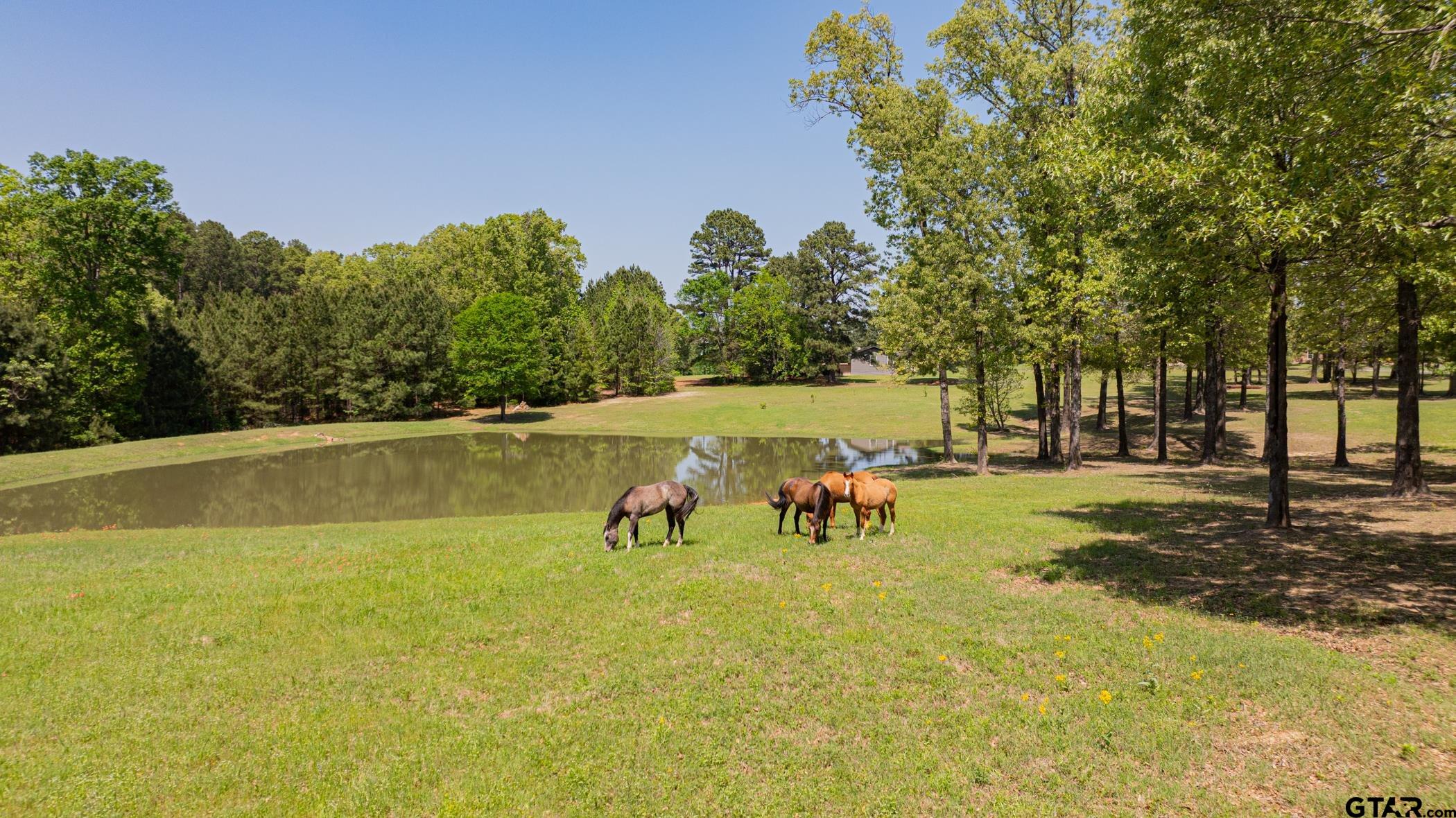 19980 FM 449 Longview, TX 75605 - Photo 43 of 48 a view of a swimming pool with a yard