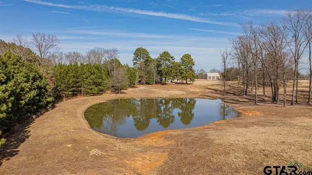 a view of outdoor space and garden