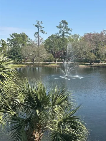 a view of a swimming pool with a yard and plants