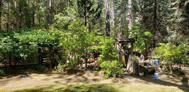 800 Covered Bridge Road Rogue River, OR 97537 - Photo 22 of 25 a view of a tree in a yard
