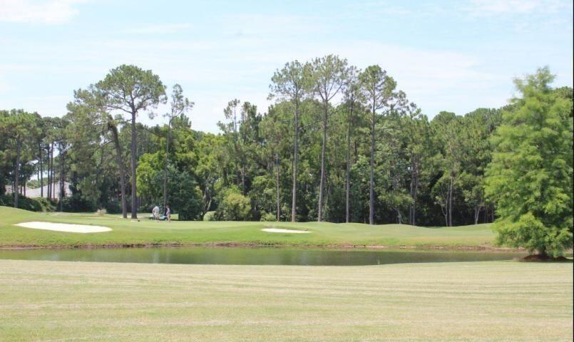 846 Indigo Loop Miramar Beach, FL 32550 - Photo 16 of 17 20220907202653820118000000-o
