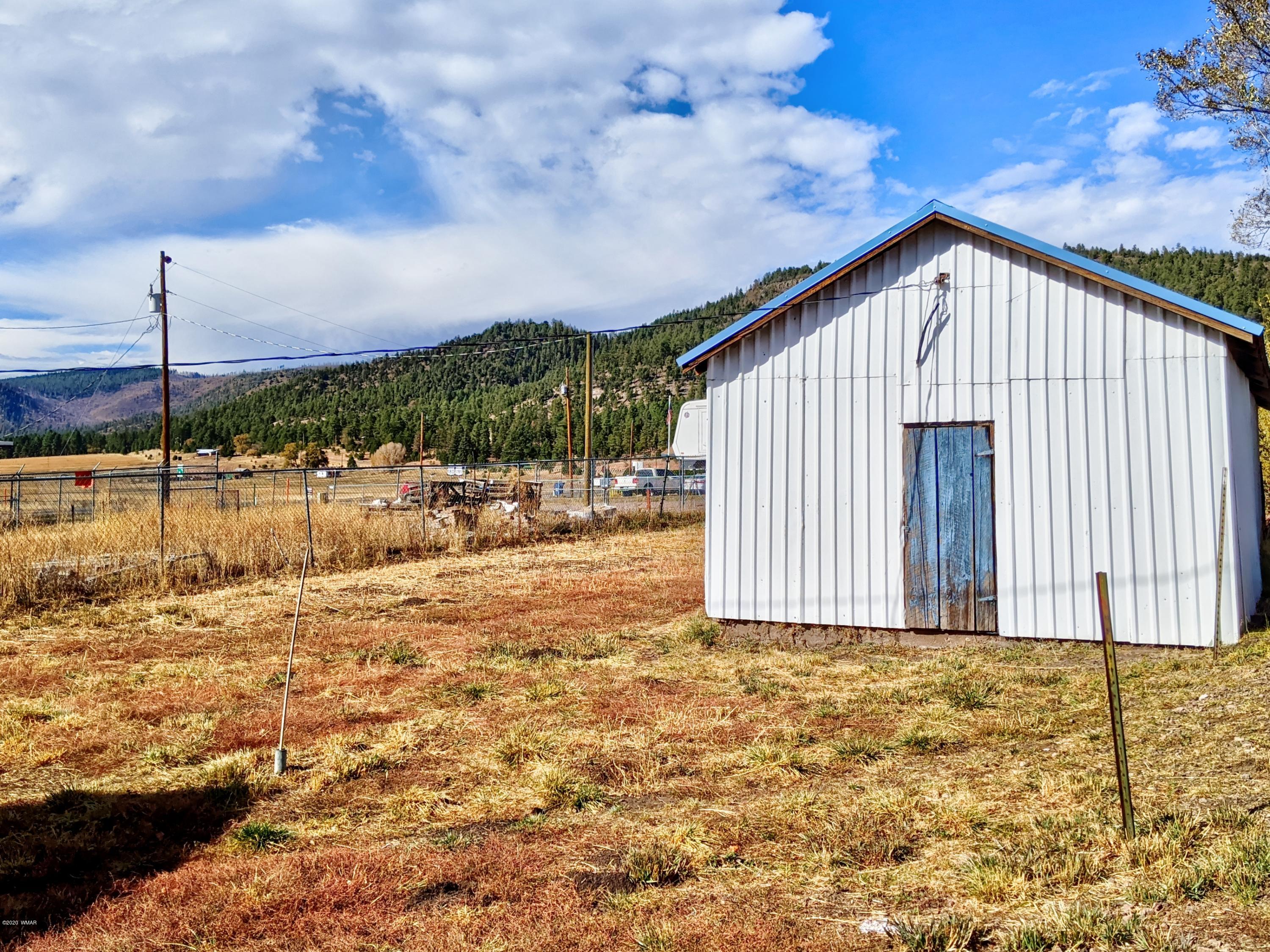 42645 Highway 180 Alpine, AZ 85920 - Photo 11 of 11