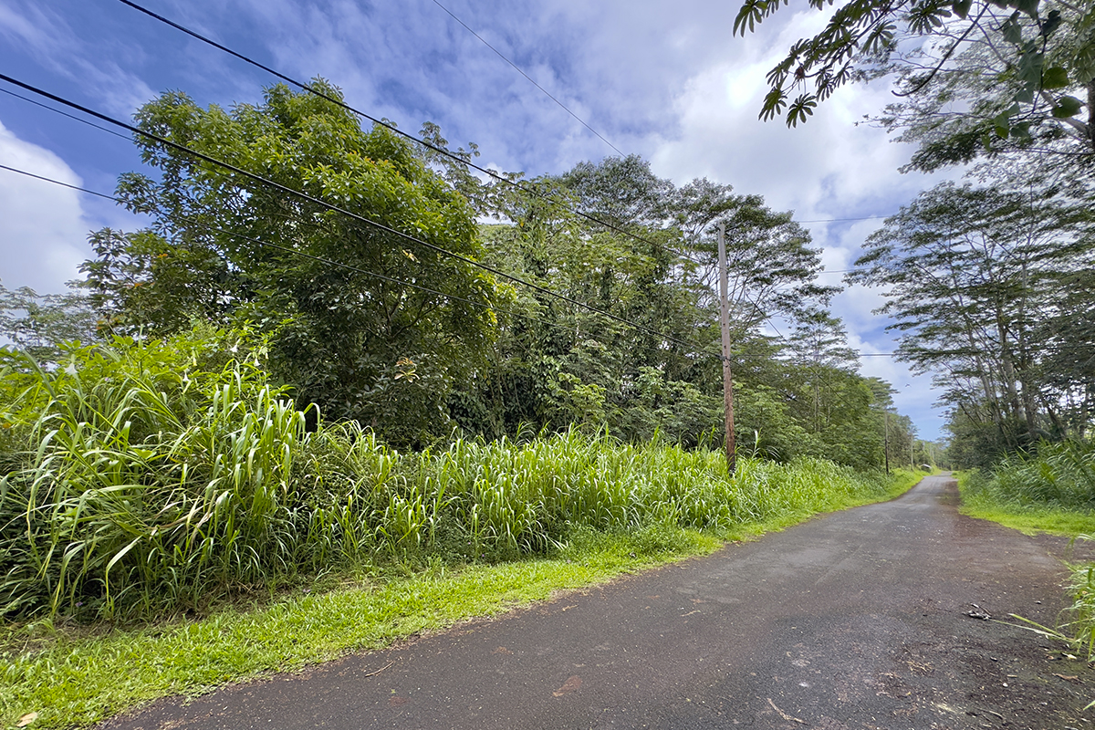 1099 Mayzee Road Pahoa, HI 96778 - Photo 2 of 9 Gallery Image 2