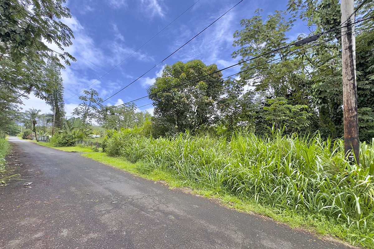 1099 Mayzee Road Pahoa, HI 96778 - Photo 3 of 9 Gallery Image 3