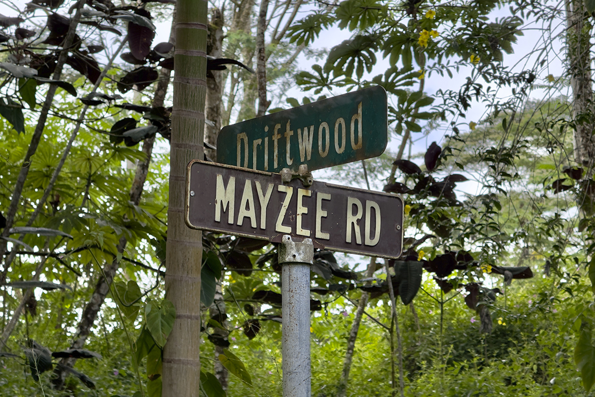 1099 Mayzee Road Pahoa, HI 96778 - Photo 4 of 9 Gallery Image 4