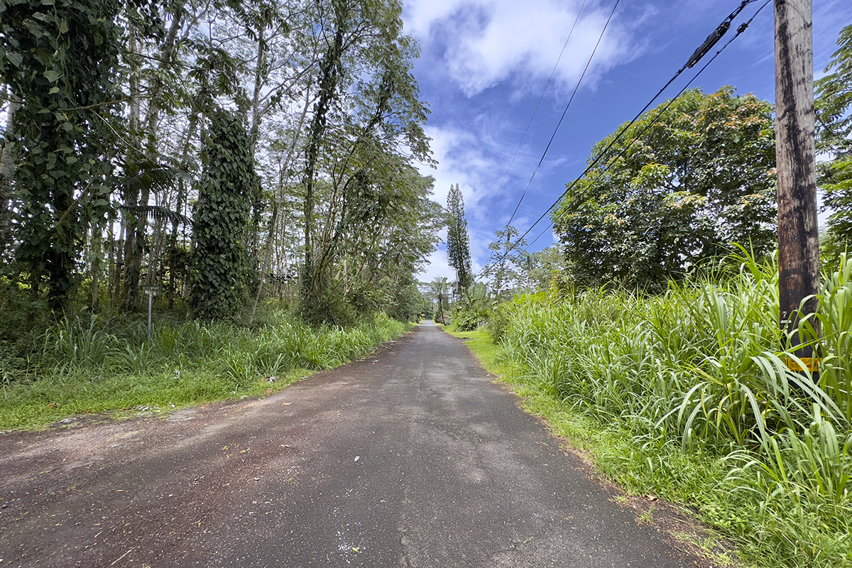 1099 Mayzee Road Pahoa, HI 96778 - Photo 5 of 9 Gallery Image 5