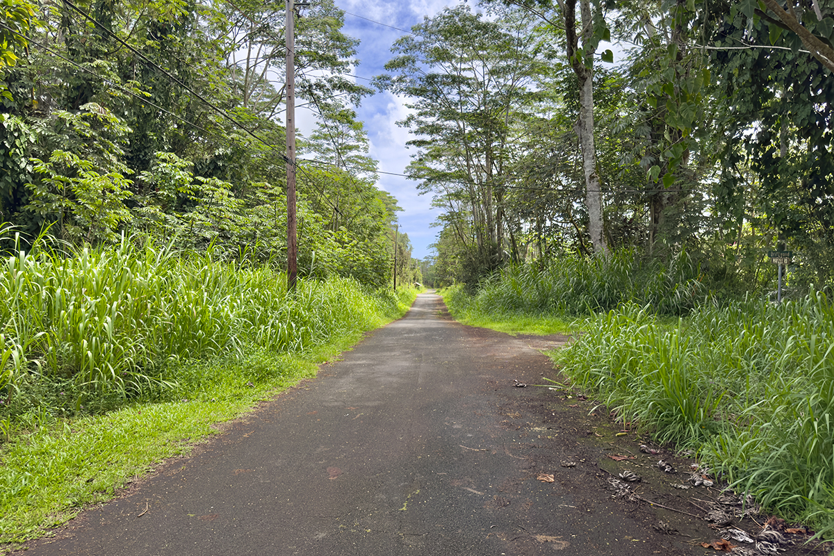1099 Mayzee Road Pahoa, HI 96778 - Photo 6 of 9 Gallery Image 6