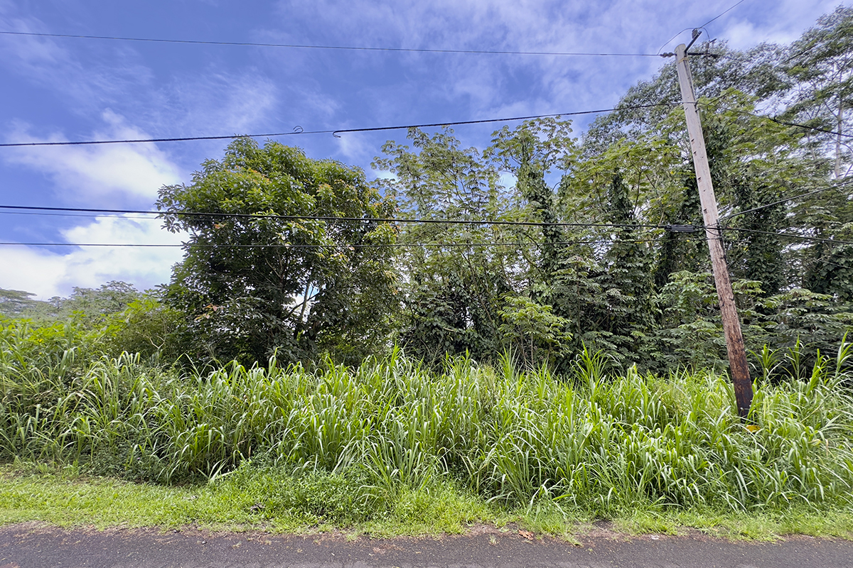 1099 Mayzee Road Pahoa, HI 96778 - Photo 8 of 9 Gallery Image 8