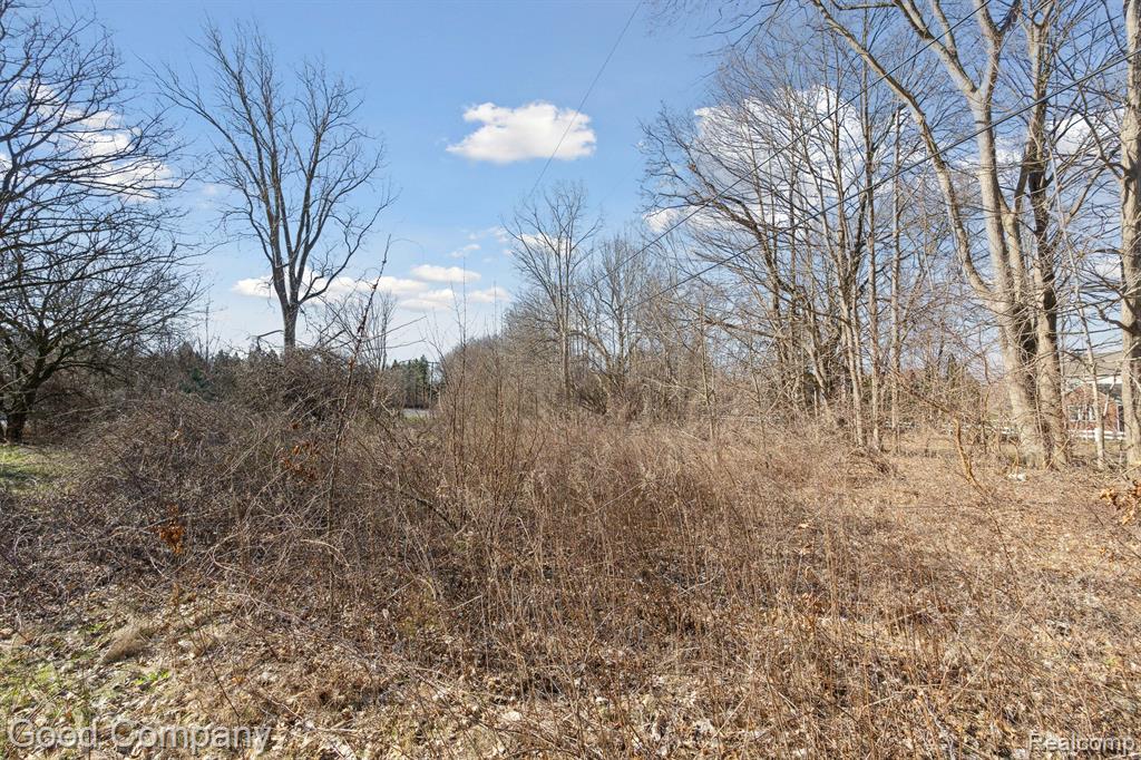 0 Orion Road Lake Orion, MI 48362 - Photo 10 of 13