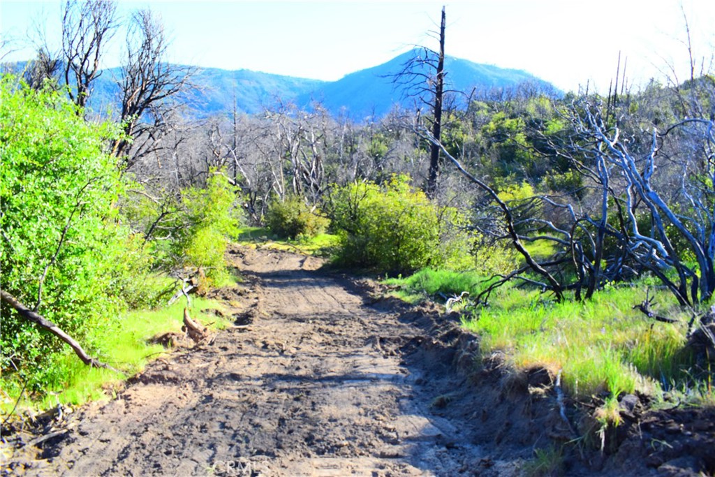A A Union Oroville, CA 95966 - Photo 22 of 51 Raod to Creek #1
