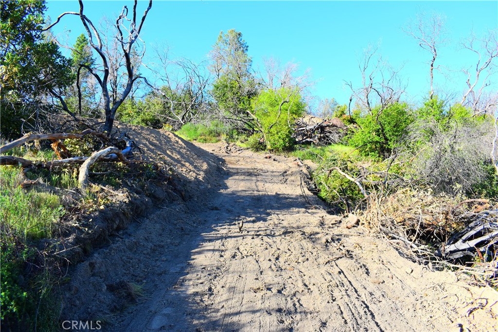 A A Union Oroville, CA 95966 - Photo 23 of 51 Road down to creek #1
