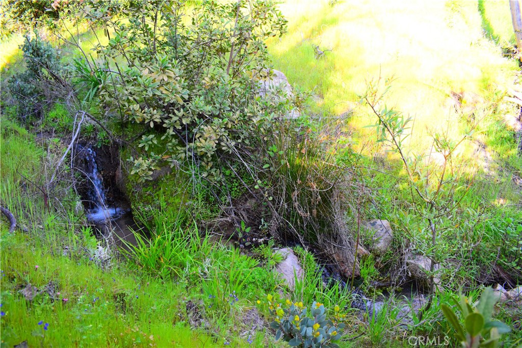 A A Union Oroville, CA 95966 - Photo 27 of 51 Creek #1