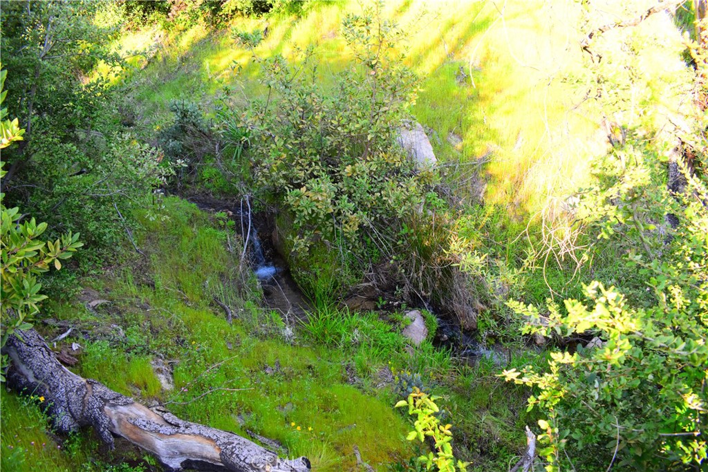 A A Union Oroville, CA 95966 - Photo 28 of 51 Creek #1