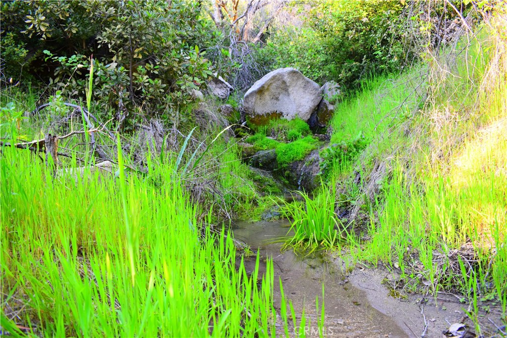 A A Union Oroville, CA 95966 - Photo 42 of 51 Creek#2