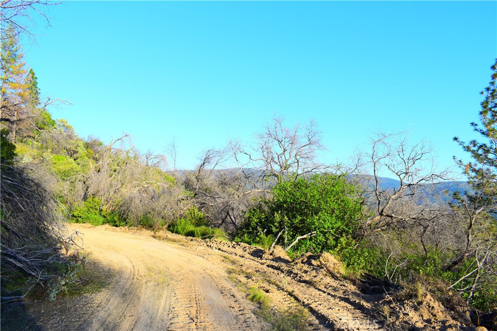 A A Union Oroville, CA 95966 - Photo 48 of 51 Road thru top of property
